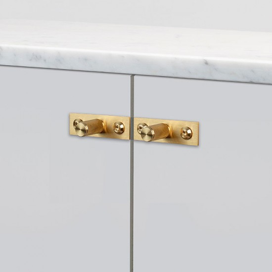 Pair of Linear Cabinet Knobs on Backplate