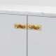 Pair of Linear Cabinet Knobs on Backplate