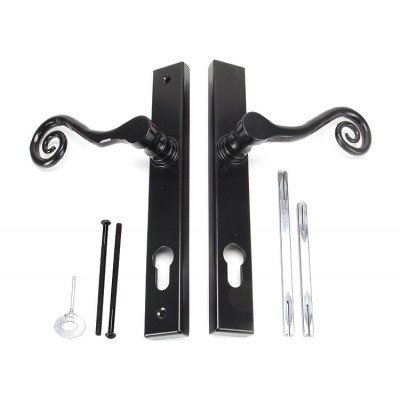 From the Anvil Monkey Tail Slimline Sprung Lever Espag. Lock Set