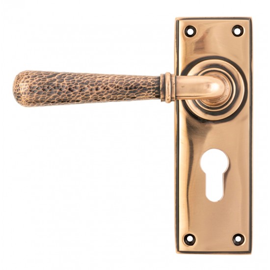 From the Anvil Hammered Newbury Lever Euro Lock Set