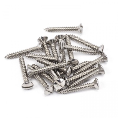 From the Anvil Stainless Steel 6x1" Countersunk Raised Head Screws (25)