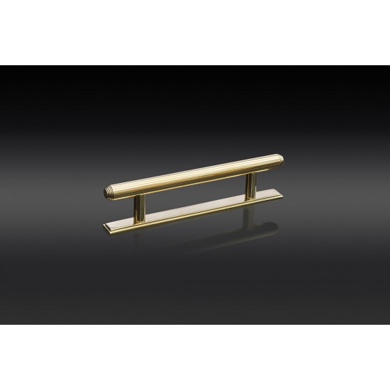 Deco End T bar Cabinet Pull on backplate