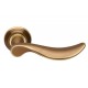 Mandelli Norma Door Handle on a Rose