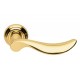 Mandelli Norma Door Handle on a Rose