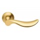 Mandelli Norma Door Handle on a Rose