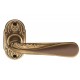 Mandelli Rex Door Handle on a Rose