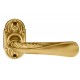 Mandelli Rex Door Handle on a Rose