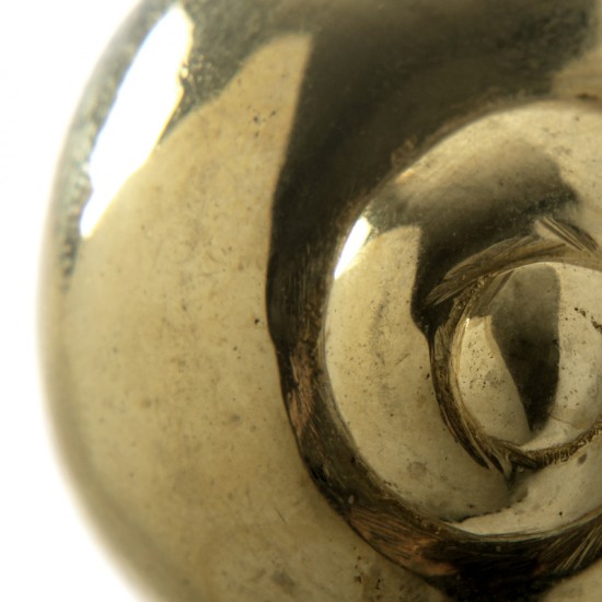 PullCast Ocean Collection - Natica OC2001 Cabinet Knob