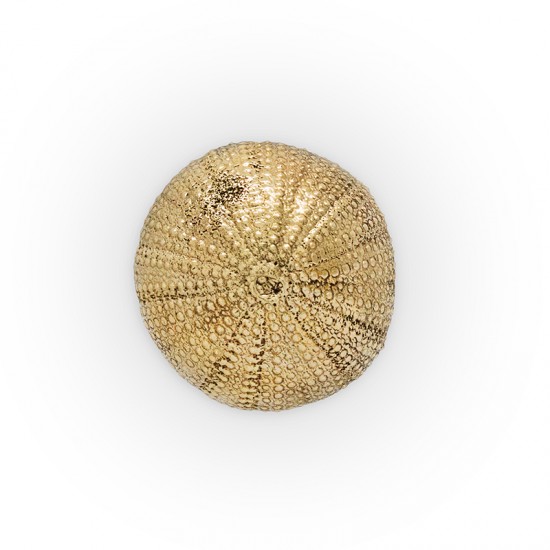 PullCast Ocean Collection - Urchin OC2026 Drawer handle 