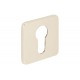 Square Euro Profile Concealed Keyhole Escutcheon