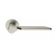 DND by Martinelli Levante Lever Door Handle