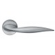 DND by Martinelli Go Lever Door Handle