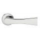 Nice Lever Handle on Round Rose by DND Martinelli