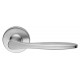 DND by Martinelli Tipo Lever Door Handle