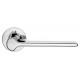 DND by Martinelli Ginkgo Lever Door Handle