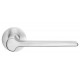 DND by Martinelli Ginkgo Lever Door Handle