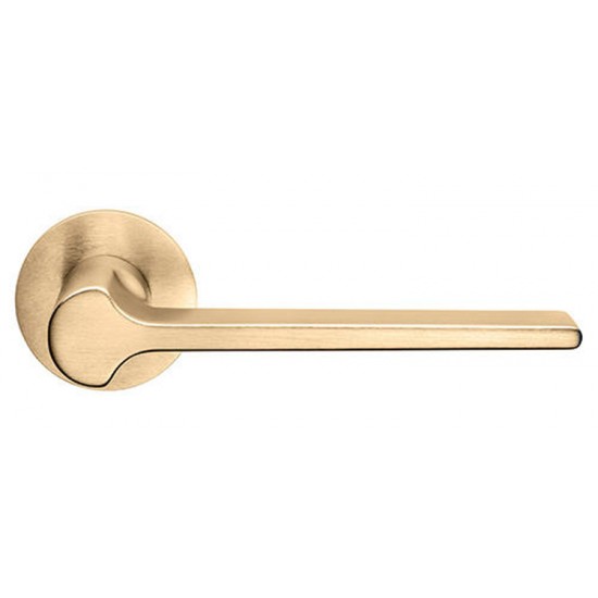 DND by Martinelli Ginkgo Lever Door Handle