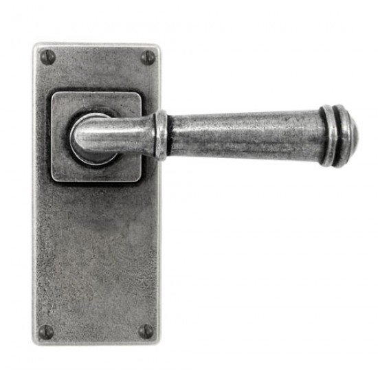 Finesse Design Durham Range Door Handle on a Jesmond Back Plate in Pewter