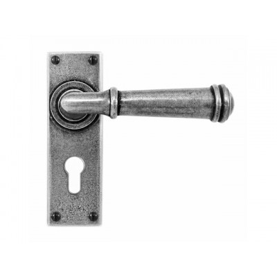 Finesse Design Durham Range Door Handle on a Back Plate Euro Lock Set in Pewter