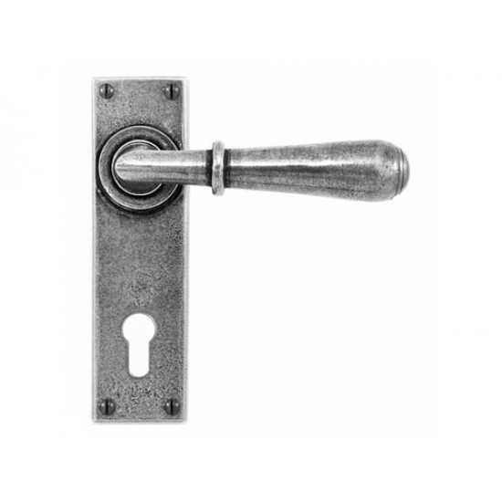 Finesse Design Fenwick Door Handle on a Back Plate Long Euro Lock set in Pewter