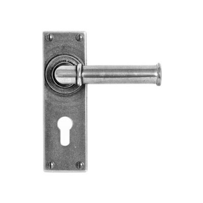 Finesse Design Wexford Range Door Handle on a Back Plate Euro Lock set in Pewter