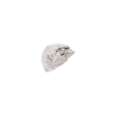 Rocky Mountain Hardware Grosbeak Cabinet Knob